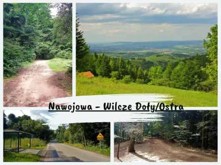 Nawojowa - Wilcze Doły - Ostra