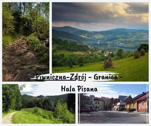 Najpiękniejsze szlaki w Beskidzie Sądeckim Piwniczna - Hala Pisana