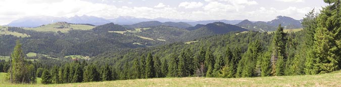 Widok na Tatry i Trzy Korony fot. JacekJurek