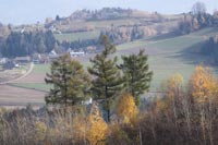 Beskid Sdecki Jazowsko - Przehyba