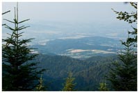 Beskid Wyspowy widziany spod Przehyby